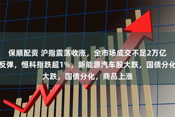 保顺配资 沪指震荡收涨，全市场成交不足2万亿，红利资产反弹，恒科指跌超1%，新能源汽车股大跌，国债分化，商品上涨